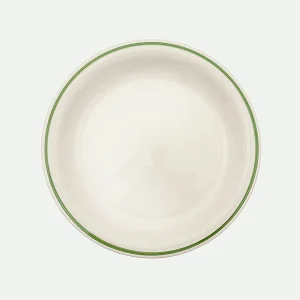 Plato Llano Vivo 17X27X2,3Cm Ve.