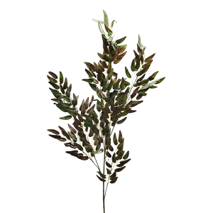 Vara Hoja Tipo Sauce