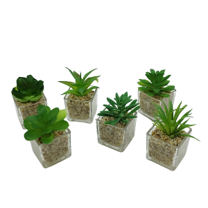 Adorno Tuna en Vidrio