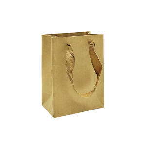 Bolsa de Papel Kraft 12 Unidades