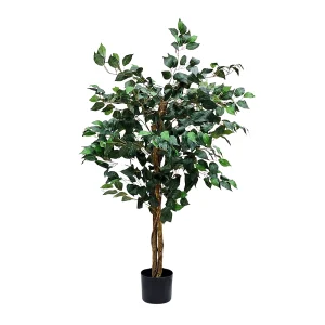 Arbol Ficus 1.20mt