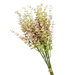 Atado Eucalipto Color