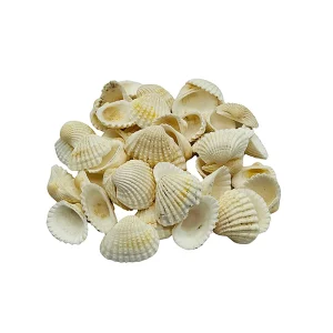 Bolsa de Almejas de Mar