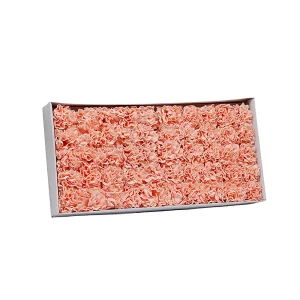 Caja de Claveles  7cm – 50 Unidades