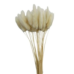 Atado Cola de Conejo