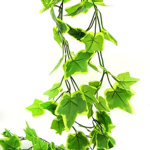 Guía de Hojas Hiedra x2