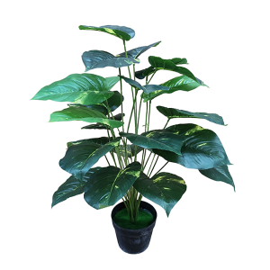 Planta Pottus 80cm