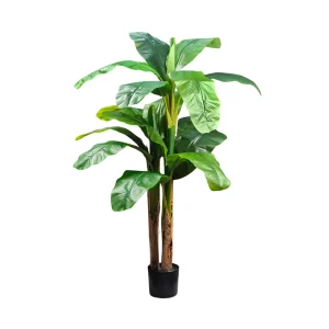 Planta de Banana 1,9mt