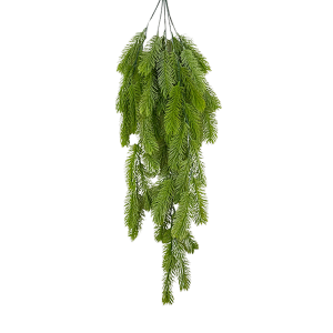 Planta Colgante Pino Frondoso
