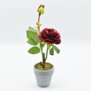 Planta de Rosa Con Maceta