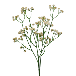 Vara de Flor Ilusión