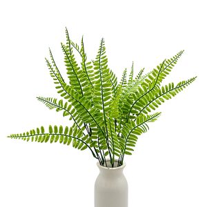 Ramo Helecho Serrucho