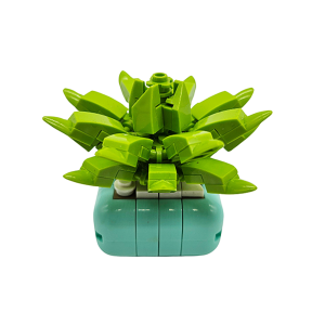 Rompecabezas Plantas Suculentas 3D para Armar