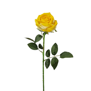 Vara de Rosa Terciopelo