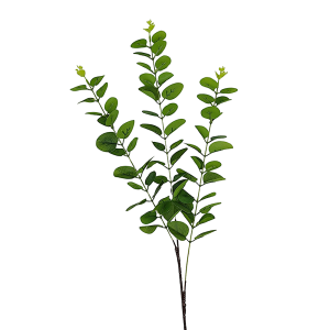 Vara Hoja Eucalipto Chica