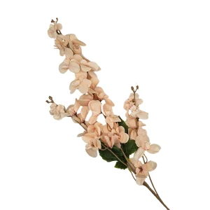 Vara Flor de Cerezo Seca