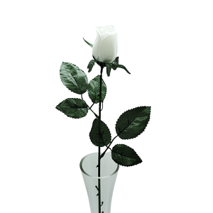 Vara Pimpollo Terciopelo Corta – Pack 12 unid.