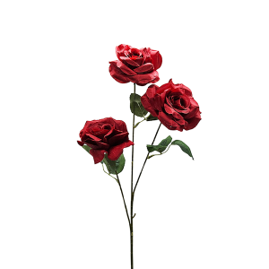 Vara Rosa Abierta X3