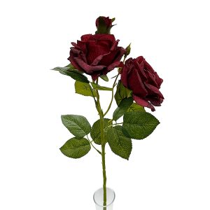 Vara Rosa X2 con Pimpollo